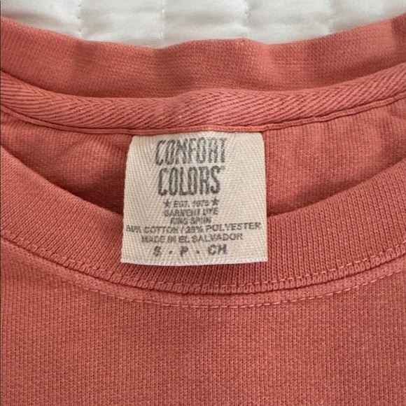 Comfort Colors Sweatshirt in Warm Coral - Picture 3 of 5